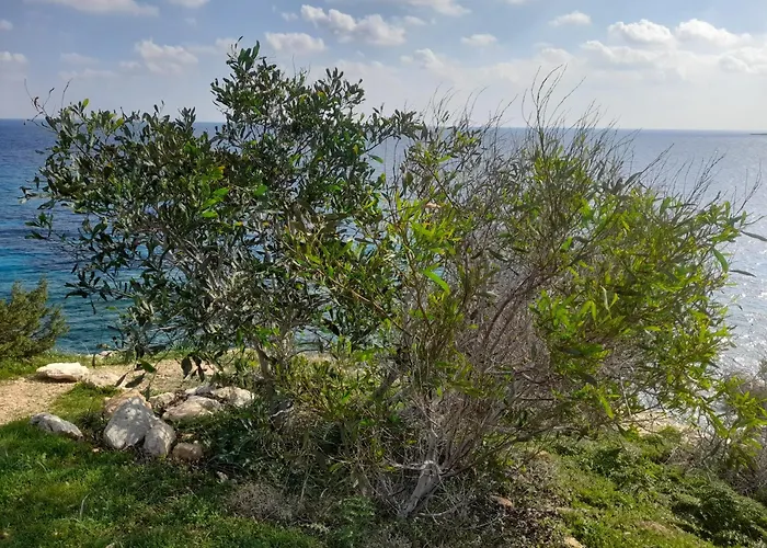 Marias Villa